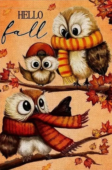 Autumn Pics, Autumn Blessings, Fall Owl, Autumn Animals, First Day Of Autumn, Autumn Clipart, Fall Wallpapers, Owl Wallpaper, Halloween Owl