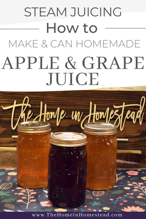 Steam Juicing & Canning Homemade Apple & Grape Juice Juice Steamer Recipes, Canning White Grape Juice, Steam Juicer Recipes Canning, Steam Juicer Recipes, Diy Apple Juice, Canning Apple Juice, Canning Juice, Homemade Juice Recipes, Cranberry Grape Juice