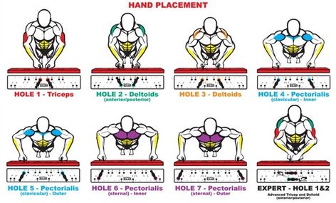 Targeted muscles with different pushups - could do this with dumbells as grips too Push Up Muscles, Push Up Beginner, Upper Body Exercises, Hand Positions, Shoulder Exercises, Push Up Bars, Body Exercises, 30 Day Fitness, Bar Workout