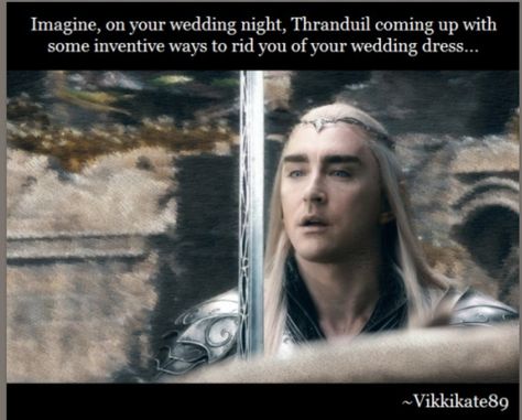 Hobbit Imagines, Thranduil Imagine, Lotr Imagines, Thranduil Fanart, Shifting Ideas, Imagine Scenarios, Legolas And Thranduil, Lotr Funny, Tolkien Elves