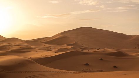 #desert #dunes #horizon #sand #Nature. Read more: https://wallpapershd.info/wallpaper-dunes-sand-desert-horizon-1615625283.html Check more at https://wallpapershd.info/wallpaper-dunes-sand-desert-horizon-1615625283.html Desert Macbook Wallpaper, Sand Dunes Landscape, Desert Aesthetic Landscape, Desert Desktop Wallpaper, Desert Wallpaper Desktop, Sahara Desert Aesthetic, Arabian Desert Aesthetic, Egypt Desert, Speed Form