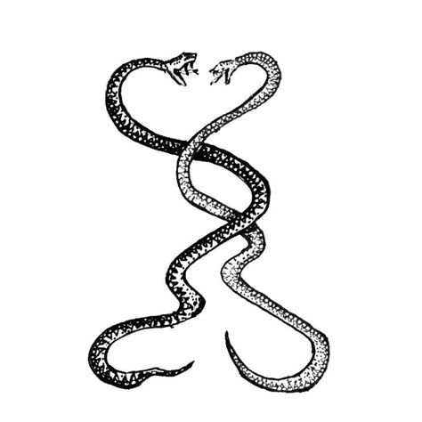 Twin Snake Tattoo, The Boy King, Apple Maps, Iris Van Herpen, Boy Tattoos, Best Friend Tattoos, White Illustration, Snake Tattoo, Friend Tattoos