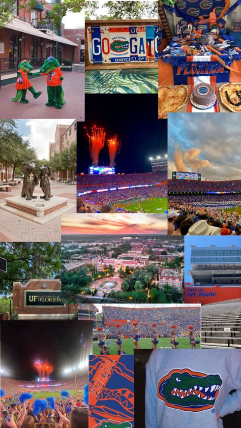 Colleges In Florida, Gators Football, College Planning, Dream College, Dream School, University Of Miami, University Of Florida, Florida Gators, I School