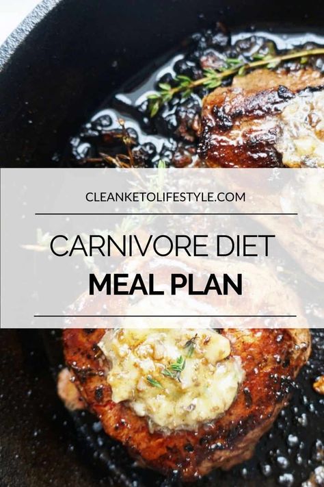 Carnivore Diet Meal Plan, Lion Diet, Caveman Diet Recipes, 1200 Calorie Diet Meal Plans, Meal Plan Grocery List, Caveman Diet, Clean Keto, Easy Keto Meal Plan, Best Smoothie