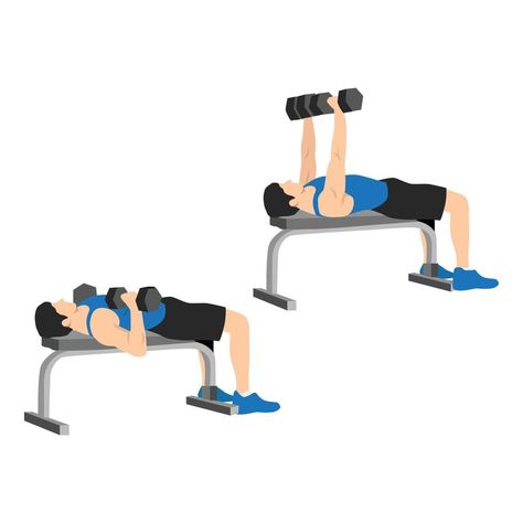 Man doing dumbbell flat bench press. Chest exercise. Flat vector illustration isolated on white background Dumbbell Chest Press, Flat Bench Press, Chest Exercise, Chest Bench, Chest Press, Dumbbell Press, Flat Vector Illustration, Chest Workouts, Flat Vector