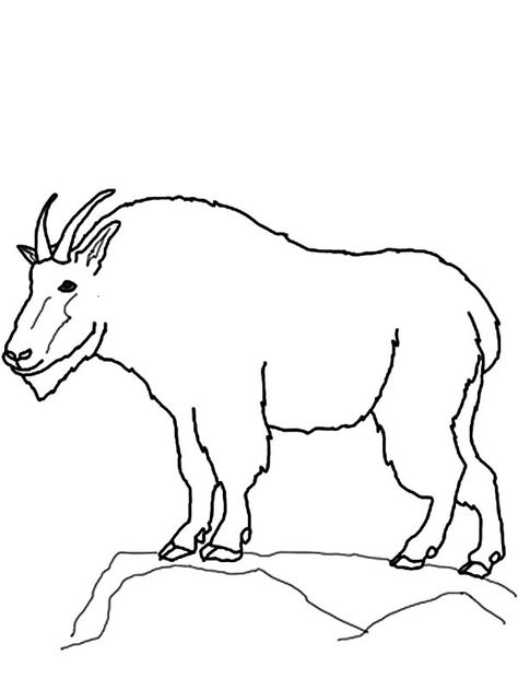 Drawing Mountain Goat Coloring Pages : Color Luna Mountain Goat Drawing, Goat Coloring Pages, Sky Mural, Print Drawing, Mountain Drawing, Coloring Ideas, Animal Embroidery Designs, Church Activities, Mountain Goat