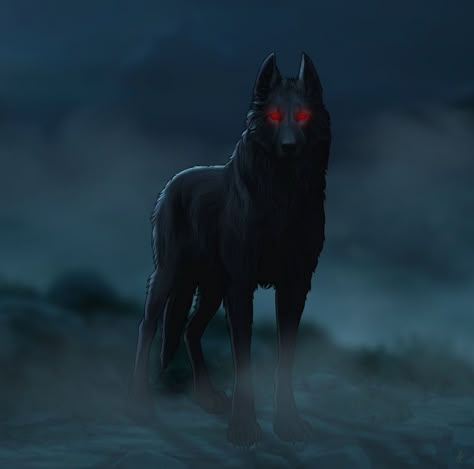 Black Shuck, Lup Singuratic, Angry Wolf, Shadow Wolf, Fantasy Wolf, Wolf Wallpaper, Canine Art, Anime Wolf, Mythical Creatures Art