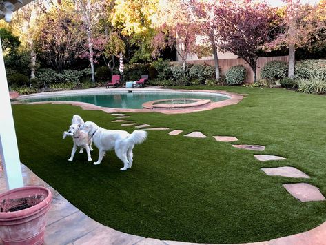 Backyards With Artificial Turf, Artificial Turf Backyard Ideas For Dogs, Yards With Artificial Turf, Landscape With Artificial Turf, Pet Turf Backyard, Turf Backyard Ideas For Dogs, Turf In Backyard, Synthetic Grass Backyard Ideas, Backyard Landscaping Turf