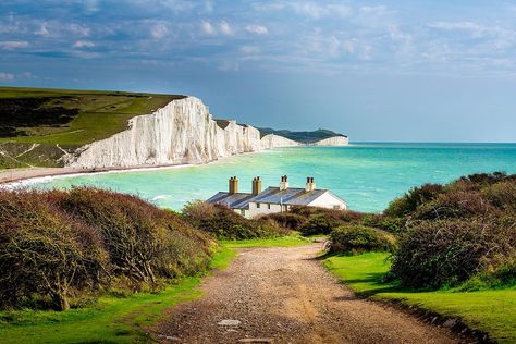 Mark Bulmer, 49, a Ministry of Defence engineer, wins our £1,000 first prize for his stunn... Pictures Of Trees Photography, 7 Sisters, Land Scapes, Beachy Head, The Seven Sisters, Southern England, Irish Countryside, Seven Sisters, Sore Eyes