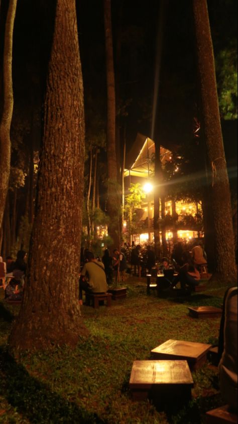 Di Tahura coffee Bandung. Tempatnya cozy Night Forest, Forest Photography, Park Bench, Tree Trunk, Forest, Cafe, Outdoor Furniture, Coffee, Outdoor Decor