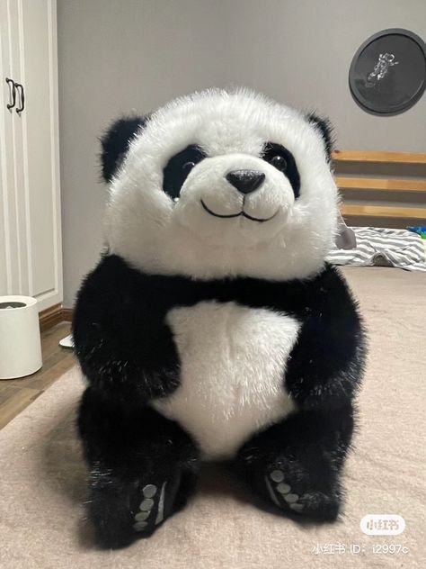 Panda Plushie, Panda Stuffed Animal, Stuff Toys, Big Teddy, I Wan, Cute Stuffed Animals, Cute Panda, Panda Bear, Cuteness Overload