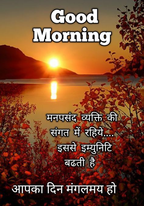 Good Morning Hindi, Good Morning Hindi Messages, Good Morning Messages Friends, Morning Images In Hindi, Good Morning Beautiful Gif, White Quotes, Flowers Quotes, Morning Nature, India Images