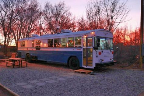 skoolie family « Inhabitat – Green Design, Innovation, Architecture, Green Building Skoolie Design, Renovated School Bus, Skoolie Living, Skoolie Ideas, Skoolie Life, Bus Tiny House, School Bus Tiny House, School Bus Camper, School Bus House