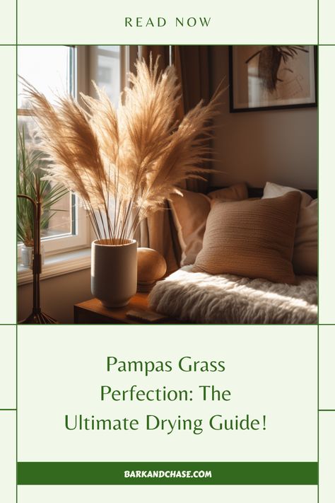 This pin showcases a comprehensive guide on how to dry pampas grass, a trendy addition to home decor. The image highlights the fluffy texture and natural beauty of dried pampas grass, inviting viewers to learn the simple steps to incorporate this stylish element into their own homes Dry Pampas, Fluffy Texture, Pampas Grass, Get Ready, Dream Home, Texture