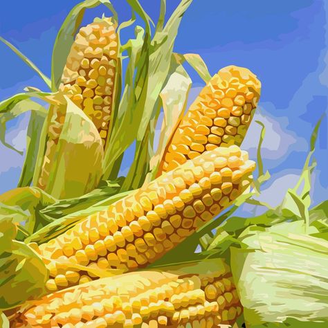 Corn Health Benefits, Popcorn Seeds, Orange And Almond Cake, Corn Crop, Corn Seed, Gluten Free Cake, Corn On The Cob, Gluten Free Treats, Almond Cakes