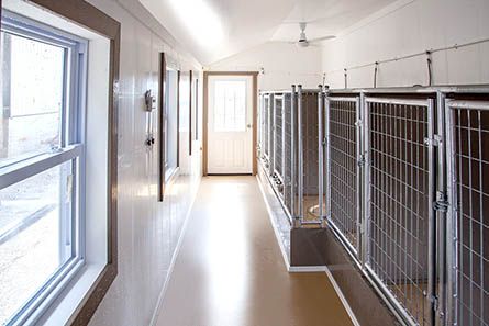 Commercial Dog Kennels | Dog Kennels for Sale | Horizon Structures Dog Facility, Luxury Dog House, Dog Friendly Backyard, Custom Dog Kennel, Dog Kennel Designs, Kennel Ideas, Dog Shelter, Dog Pack, Doggy Daycare