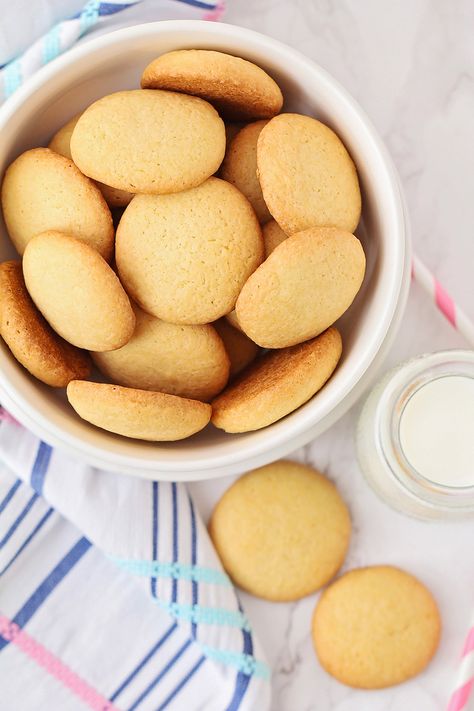 Homemade Vanilla Wafers Nilla, Diy Vanilla Wafers, Homemade Nilla Wafer Recipes, Sourdough Nilla Wafers, Nila Wafers Recipes, Nilla Wafer Cookies, Homemade Wafer Cookies, Homemade Vanilla Wafer Cookies, Vanilla Wafer Cookie Recipe