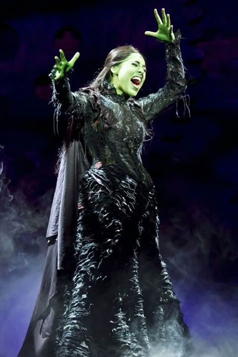 No good deed goes unpunished ! Musical Theatre Party, Wicked Characters, Musicals Party, Elphaba Aesthetic, Evergreen Aesthetic, Elphaba Costume, Shiz University, Wicked Broadway, No Good Deed