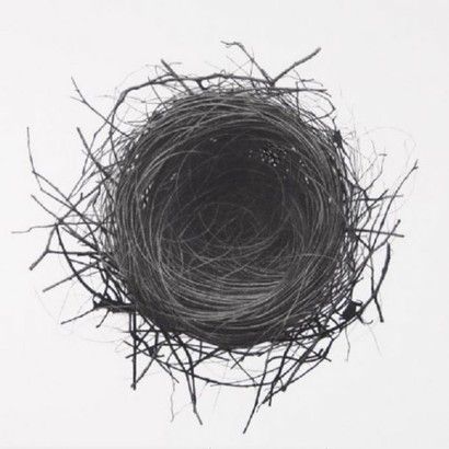 Nest Drawing, Nest Decor, Birds Nests, Nest Art, Easy Things To Draw, Sea Point, Bird Nests, Sketching Tips, Art Charcoal