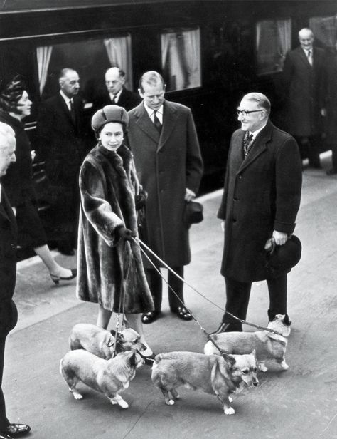 Queen Elizabeth Corgi, Pictures Of Queen Elizabeth, Young Queen Elizabeth, Rainha Elizabeth Ii, Queen E, Reine Elizabeth Ii, Hm The Queen, Reine Elizabeth, Liverpool Street