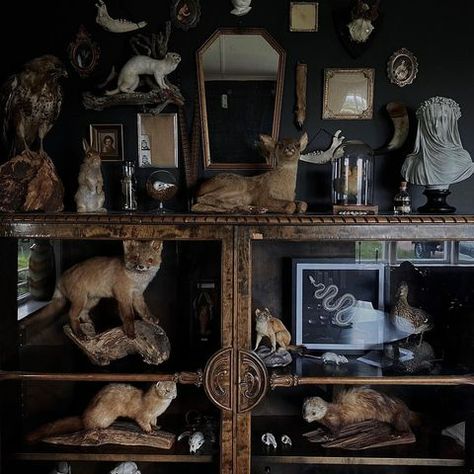 @grevholm • Instagram photos and videos Oddities Decor Bedroom, Macabre Home Decor, Gothic Art Studio, Kirk Langstrom, Skull Decor Diy, Bunny Mirror, China Room, Dark Maximalism, Dark Cottagecore House