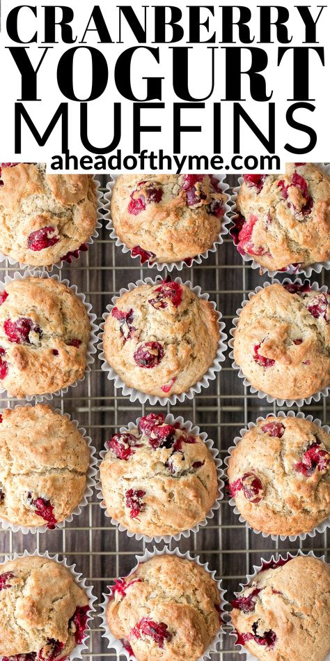 Muffin Recipes Cranberry, Cranberry Muffins Recipes Easy, Easy Cranberry Muffins, Cream Cheese Cranberry Muffins, Cooking With Cranberries, Cranberry Protein Muffins, Fresh Cranberry Muffins Recipes, Muffins With Yogurt In Them, Recipes With Cranberries Healthy