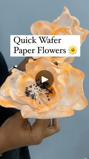 43K views · 2.3K reactions | Quick Wafer Paper Flowers 🌼😱🤯  Tired with the process of making Sugar flowers?? Why dnt you try out wafer paper flowers 🌷 super quick and easy to make and store. Have you tried this yet??  We are sharing a lot of new techniques, recipes, tips and tricks and hacks everyday to learn from. Are you enjoying??  ❤️ Save and Share before you missed it ❤️  ✅ Keep following us @sangeetas_cooking_mantra   #weddingcake #cakedecoration #waferpaperflowers  #edibleflowers #bakingclass #hack #tipsandtricks #cake  [wafer paper, tips, wafer paper hacks, cake hacks, wedding cakes, baking course, home baker, delhi baker] | Sangeeta Ghosh | Baking Academy | Isabel LaRosa · favorite Cake Wafer Paper, Paper Hacks, Isabel Larosa, Fondant Flower Tutorial, Wafer Paper Flowers, Flower Cake Toppers, Cake Hacks, Baking Classes, Fondant Flowers