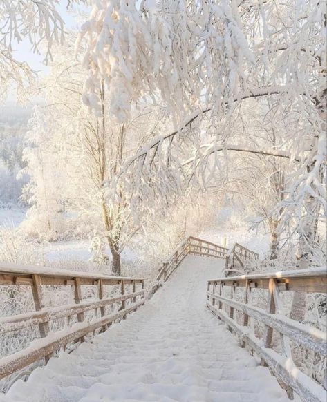 Beautiful Scenery Photography, Beautiful Wallpapers For Iphone, Scenery Pictures, I Love Winter, Winter Sunset, Winter Nature, Winter Scenery, Winter Beauty, Snow Scenes