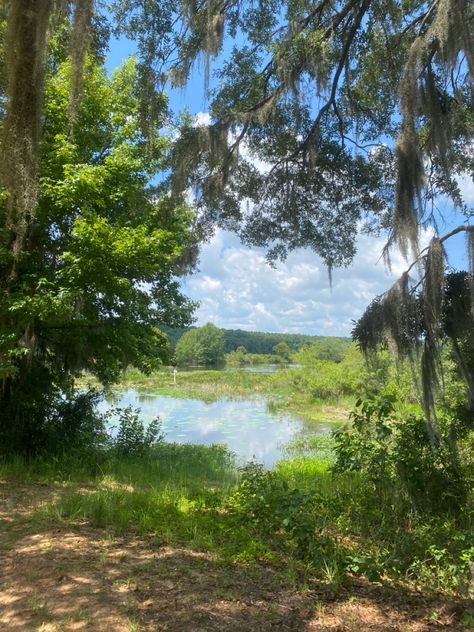 Florida Woods, Florida Fall, Summer Lake, Summer 2024, So Pretty, Dream Life, Vision Board, Florida, Lake