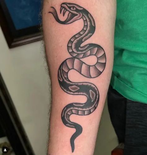 Daredevil Tattoo Snake Tattoo Head, Classic Snake Tattoo, American Traditional Snake Head, Traditional Snake Head, Daredevil Tattoo, Severed Snake Head Tattoo, Black Snake Tattoo, Tattoo Museum, Roots Tattoo