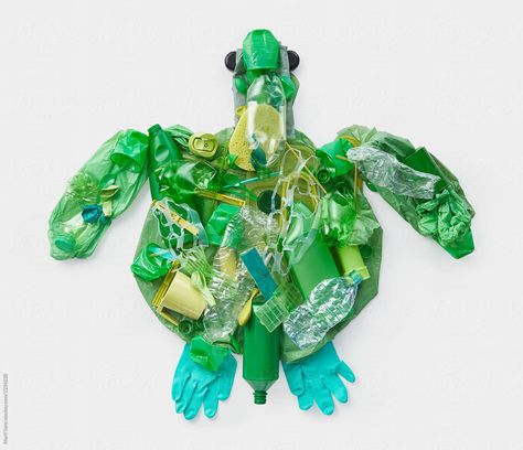 Conceptual turtle made from disposable environmentally friendly plastic garbage over plain white background. Zero waste concept. Environmental Art Projects, Plastic In The Sea, Waste Art, Sea Creatures Art, Photography Still Life, Turtle Sculpture, Recycled Art Projects, Trash Art, Science Activities For Kids