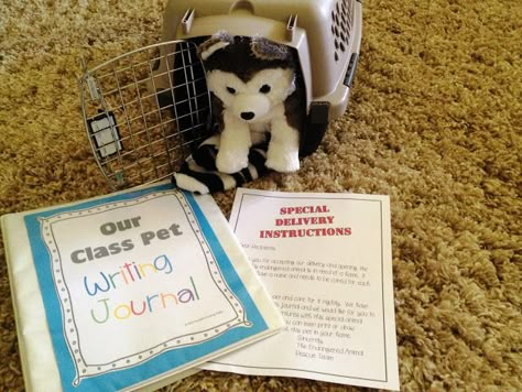 Send home a "class pet" with a student every weekend. They can write about their adventures and share them with the rest of the class on Monday. Classroom Pets, Teacher Work, Class Pet, First Grade Writing, Class Theme, Preschool Class, Writing Journal, Kindergarten Writing, Writer Workshop