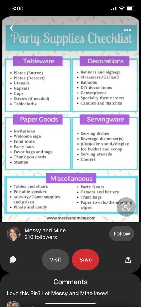 Birthday Party Essentials List, Party Decor List, Family Reunion Ideas Themes, Party Essentials List, Birthday Party Supplies Checklist, Party Planning List, Party Supplies Checklist, Birthday Party Planning Checklist, 17th Birthday Party Ideas