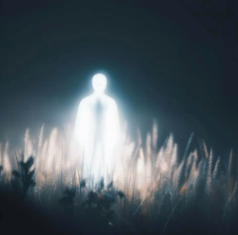 Glowing figure standing in a field of hay God Of Light Aesthetic, Light Power Aesthetic, Glowing Figure Art, Ethereal Poster, Light Body Spiritual Art, Light Beings Spiritual Art, Glowing Angel Aesthetic, Banner Twitch, Standing In A Field