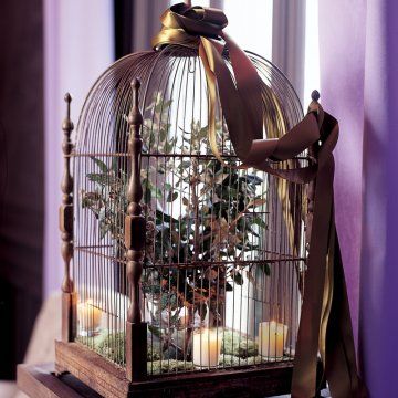 Cage à oiseau en fer décorée de mousse, bougies parfumées et bouquet de branches pour un décor de fête Tuscan Decorating Kitchen, Wedding Ambiance, Slot Zeus, Wedding Birdcage, Balcony Flowers, Gates Of Olympus, Hanging Flower Baskets, Deco Nature, Window Shutters