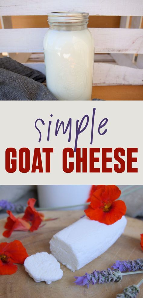 How To Make Goat Cheese - Golden Thyme Homestead Making Goat Cheese, Make Goat Cheese, Homemade Goat Cheese, Pasteurized Milk, O Taste And See, Homestead Kitchen, Eat Me Drink Me, Spreadable Cheese, Goat Cheese Recipes