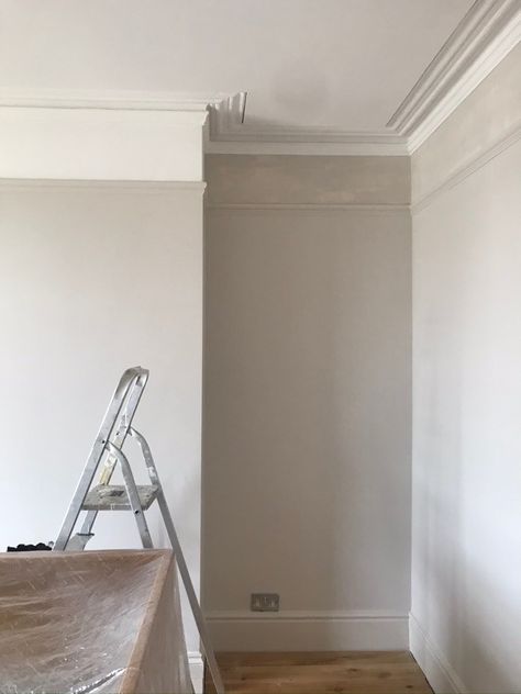 Coving With Picture Rail, Wall Paneling With Picture Rail, Painting Walls With Picture Rails, Living Room Panelling With Picture Rail, Picture Rail Office, Lounge Picture Rail, Picture Rail Molding Bedroom, Bathroom Picture Rail, Living Rooms With Picture Rails