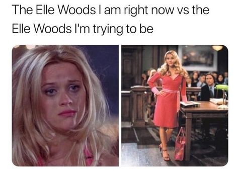 Law School Humor, Law School Life, Law School Inspiration, Elle Woods, Legally Blonde, School Memes, Fresh Memes, Law Student, School Inspiration