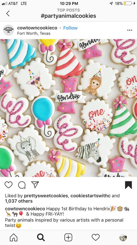 Party Animal Birthday Theme Cookies, Party Animal Cookies Decorated, Party Animal Cookies, Circus Cookies, Animal Themed Birthday Party, Cake Smash Theme, Colors Party, Animal Theme Birthday, 2nd Birthday Party For Girl