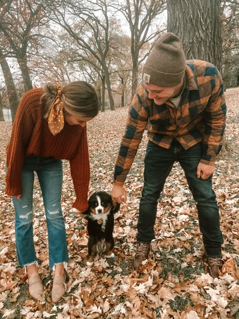 Mountain Dogs Bernese, Cute Bernese Mountain Dog Puppies, Bernese Mountain Dog Aesthetic, Berner Sennen Puppy, Golden Retriever And Bernese Mountain Dog, Bernese Mountain Dog And Golden Retriever, Bernese Mountain Dog Fall, Bernese Mountain Dog And Golden, Berner Dog