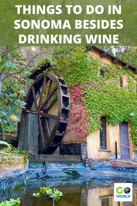 Sonoma Wine Tasting, Sonoma Itinerary, Best Vineyards In Sonoma, California Wine Country Vacation, Sonoma Wineries Map, Country Vacation, Sonoma Wine Tours, Napa Valley Trip, Wine Tasting Sonoma County