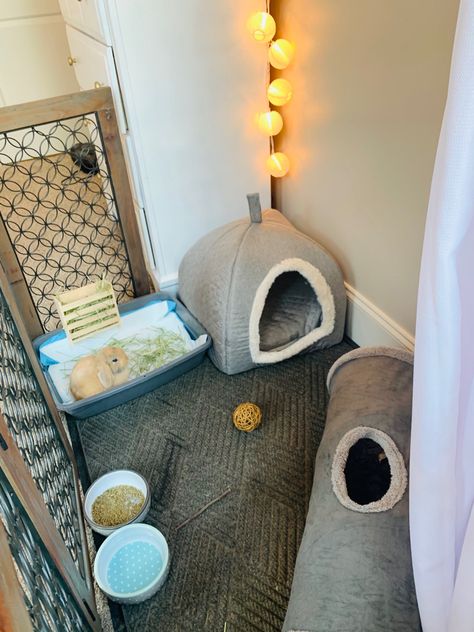 Small Bunny Cage Ideas, Small Rabbit Cage Ideas, Small Rabbit Cage, Best Bunny Cage Set Up, Free Roam Rabbit Set Up In Bedroom, Small Bunny Cage, Bunny Apartment Set Up, Cute Bunny Set Up, Indoor Bunny Setup Small Space