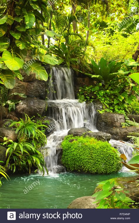 Waterfall in decorative tropical garden, Thailand Stock Photo Tropical Water Feature, Tropical Waterfall Painting, Sungai Aesthetic, Thailand Garden, Waterfall Tropical, Waterfall Decoration, Water Cascade, Tropical Waterfall, Waterfall Garden