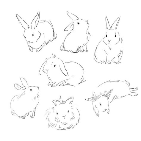 How To Draw A Bunny, Bunnies Sketch, Cute Bunny Sketch, Bunny Reference, Hase Tattoos, Draw A Bunny, Bunny Sketch, Bunny Sketches, Rabbit Drawing