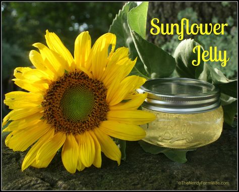 Sunflower Jelly Recipe Edible Flowers Recipes, Red Things, Canning Jam, Canning Food Preservation, Homemade Jelly, Jam And Jelly, Home Canning, Jelly Recipes, Vegetable Drinks