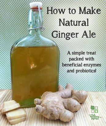 Natural Ginger Ale Ginger Ale Recipe, Homemade Ginger Ale, Ginger Bug, Fermented Drinks, Natural Ginger, Probiotic Drinks, Wellness Mama, Fermented Drink, Recipes Drinks