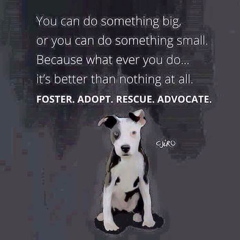 Help Foster Dog Quotes, Animal Rescue Quotes, Rescue Dog Quotes, Rescue Quotes, Foster Dog, Dog Shaming, Lovers Quotes, Pit Bull Love, Shelter Dogs