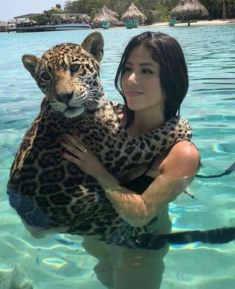 Modele Fitness, Pretty Animals, Silly Animals, Cute Wild Animals, Cute Animal Photos, Animal Photos, Leopards, Little Animals, Animal Photo