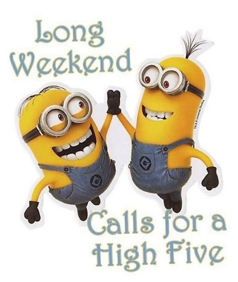 Happy Long Weekend Quotes Funny, Long Weekend Quotes, Work Related Quotes, Saturday Humor, Happy Long Weekend, Weekend Quotes, Clydesdale Horses, Special Text, Weekend Humor