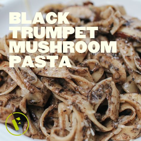 Indulge in the exquisite flavors of the forest with this black trumpet mushroom pasta recipe. Celebrated for their rich, earthy taste, black trumpet mushrooms transform an ordinary pasta dish into a gourmet experience. Let's explore the culinary magic of these unique fungi. Black Trumpet Mushrooms Recipes, King Trumpet Mushroom Recipe, Chaga Tea Recipes, Scallop Scampi Recipe, Trumpet Mushrooms Recipe, Black Trumpet Mushrooms, Trumpet Mushroom, Trumpet Mushrooms, Mushroom Recipes Pasta